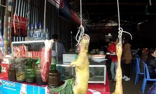 ENV cảnh báo nguy cơ nhiễm COVID-19 khi ăn thịt động vật hoang dã