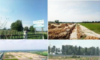 'Màn ảo thuật' biến 188ha đất công thành đất tư khiến loạt lãnh đạo Bình Dương bị xử lý 