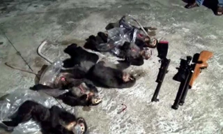 Tang vật vụ săn bắn động vật hoang dã.