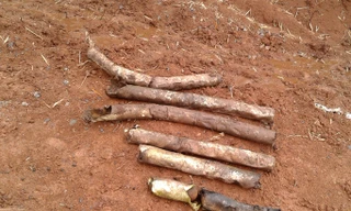 Bom bi được phát hiện ở khu vực bản Troan Thượng (xã Xy, Hướng Hóa, Quảng Trị). Ảnh: H.Thơ.