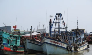 Kêu gọi tàu vào bờ tránh áp thấp nhiệt đới.