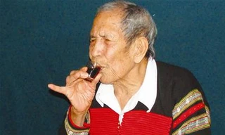 Chuyện chưa kể về vua voi Ama Kông vừa 'về với đại ngàn' ở tuổi 103