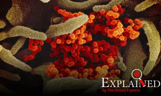 Gian nan tìm thuốc chữa covid-19