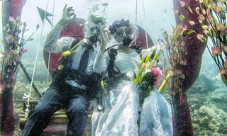 Đám cưới lãng mạn dưới biển sâu 12 mét