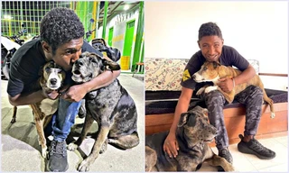 Sau "bữa tiệc sinh nhật" dành cho cún cưng, cuộc đời chàng trai vô gia cư này đã hoàn toàn thay đổi