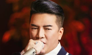 Đàm Vĩnh Hưng xin lỗi