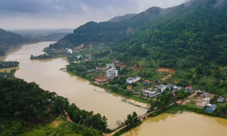 Rừng Sóc Sơn tiếp tục bị 'xẻ thịt' sau kết luận thanh tra