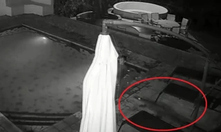 Khoảnh khắc cá sấu bất ngờ lao xuống hồ bơi tấn công du khách