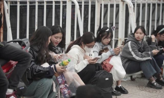 Cảnh fan vạ vật