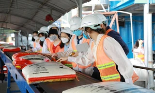 Ngành Logistics và quản lý chuỗi cung ứng được nhiều bạn trẻ chọn lựa vì sức phát triển lớn