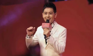 Lâm Chí Dĩnh xuất hiện sau tai nạn vỡ xương mặt