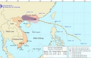 Bão số 3 vào đất liền, Bắc Bộ có mưa