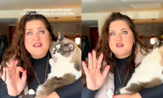 Khách nữ tố tiếp viên hàng không 'bắt' thú cưng im lặng 