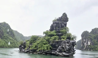 Tận mắt chiêm ngưỡng cực phẩm hơn 320 triệu năm trên vịnh Hạ Long 