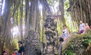 Hai nữ du khách thiệt mạng trong Rừng Khỉ thiêng