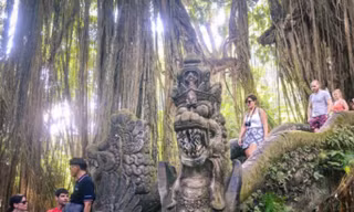 Hai nữ du khách thiệt mạng trong Rừng Khỉ thiêng