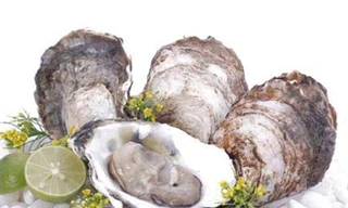 Ăn hàu sống, đầu hành… để 'sung'?