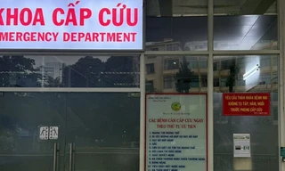 TPHCM: Sức khoẻ nạn nhân bị cây sao đè trúng ở quận 1 ra sao?