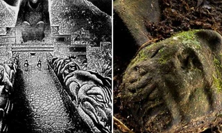 Trở về từ Thành phố Trắng, nhóm thám hiểm mắc bệnh đáng sợ