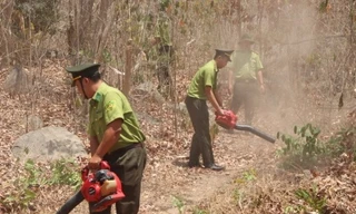 Bà Rịa - Vũng Tàu căng mình ngăn lửa giữ rừng