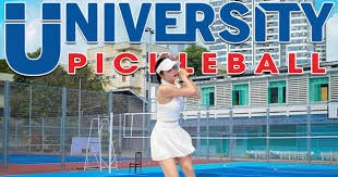 Bà Rịa-Vũng Tàu lên tiếng về trào lưu chơi pickleball; TGĐ người Nhật bị quấy rối