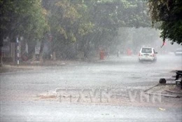 Mưa rải rác, nhiều diện tích cây trồng ở Bình Phước được 'giải khát'