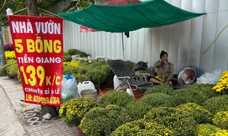 Đủ kiểu xả hàng hoa Tết ở TPHCM