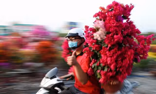 Con đường dọc kênh Tham Lương rực rỡ dịp Tết Nguyên đán