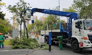 Chặt hạ, di chuyển hơn 200 cây xanh khu vực nút giao thông An Phú