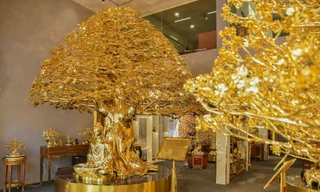 Cây bồ đề mạ vàng 1 triệu USD và các sản phẩm Tết giá cao ngất ngưởng ở TPHCM