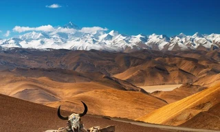 Trái Đất dịch chuyển, Tây Tạng có dấu hiệu bị xé làm đôi