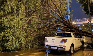 48 công nhân cây xanh TPHCM ra Hà Nội, Hải Phòng hỗ trợ khắc phục bão Yagi