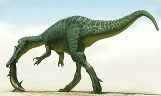 Phát hiện quái thú đầu như cá sấu, dài đến 8 m