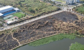 CLIP: Cả trăm cây xanh khô héo trong Khu Công nghệ cao