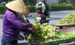 Hoa bưởi ngát hương theo chân người xuống phố Hà thành
