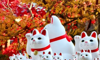 Xem tượng mèo vẫy tay mang lại tiền tài, may mắn 