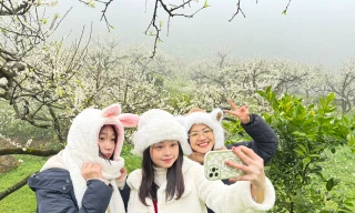 Lạc bước giữa rừng hoa mận trắng tinh khôi trên cao nguyên Mộc Châu