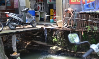Dân Thủ đô sống khổ bên dòng sông chết