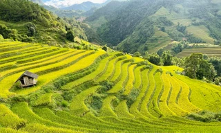 Mê mẩn ngắm tuyệt tác của núi rừng Tây Bắc