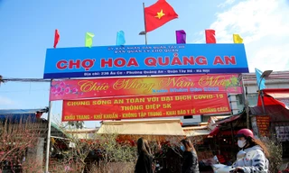 Chợ hoa xuân Hà Nội được bố trí an toàn phòng, chống dịch COVID-19 ra sao
