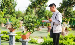 Quất mini độc lạ, khách sẵn sàng bỏ cả chục triệu mua về chơi Tết 