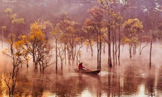 Suối Tía - vẻ đẹp tựa tiên cảnh nơi thượng nguồn hồ Tuyền Lâm