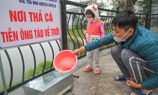 Hà Nội: 'Cá chép bơi đi, nilon ở lại' 