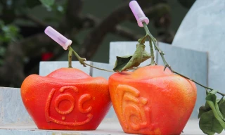 Nông dân chăm chút bưởi đỏ tiến vua khuôn 'Tài - Lộc' sẵn sàng cho Tết Giáp Thìn