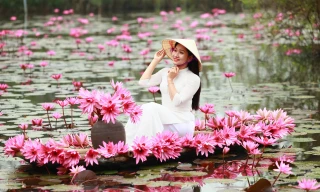 Mê mẩn những mùa hoa gây thương nhớ ở Hà Nội