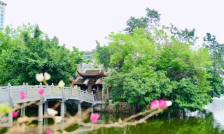 Độc đáo nơi trú ngụ của đàn chim giữa lòng hồ Trúc Bạch