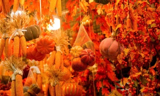 Phố Hàng Mã thay áo mới, ngập tràn màu sắc 'ma mị' đón Halloween