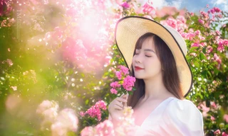 Hoa tường vi bung nở đẹp mê mẩn thu hút giới trẻ đến check in