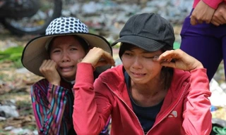 Người bán hoa Tết khóc ròng vì ế nặng