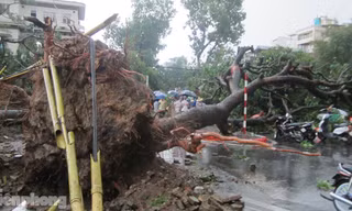 Hà Nội mưa lớn, gió giật cây bật gốc đè chết người